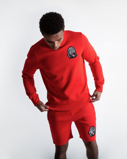 TEST Tank Sweatshirt - Red